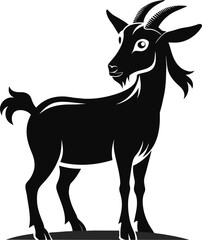 Pygmy goat Silhouette Vector illustration design