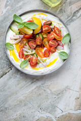 Plate of greek feta dip sauce with veggies on a light-grey granite background, vertical shot, copy...