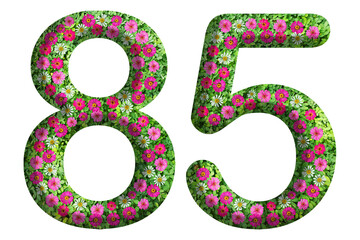 3d of the number 85 is made of green grass and beautiful flower isolated on transparent background. Go green concept for Memorial Day template