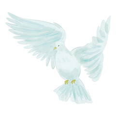 dove of peace