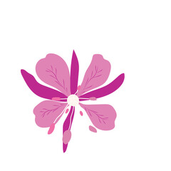 Fireweed