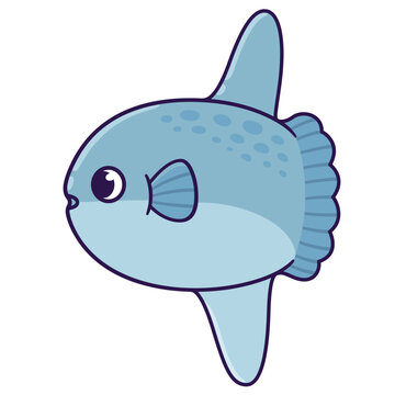 recommend clip art: Cute cartoon sunfish drawing