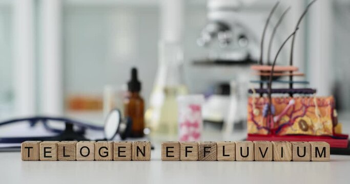 Telogen alopecia determination of cause prevention and structure of skin and hair. Treatment of alopecia