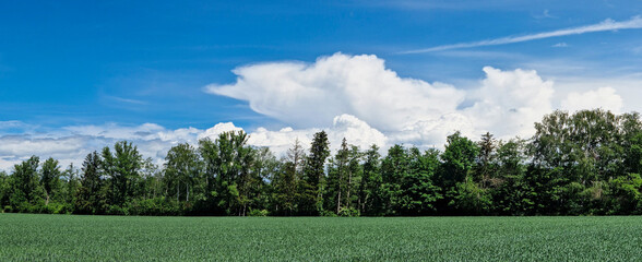 Mächtige Wolkengebilde mit blauem Himmel über ländlicher Naturlandschaft 