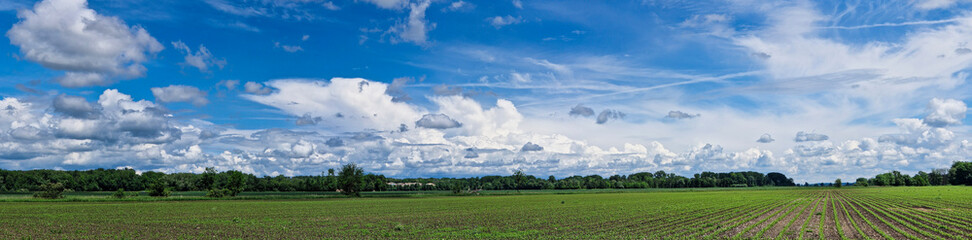 Mächtige Wolkengebilde mit blauem Himmel über ländlicher Naturlandschaft 