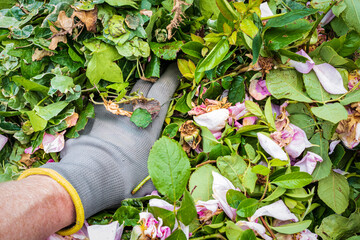 Close-up of a gardener seen wearing a protective glove while compressing a near full green waste...