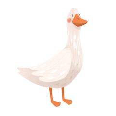 Vector Image of white goose, duck isolated on white