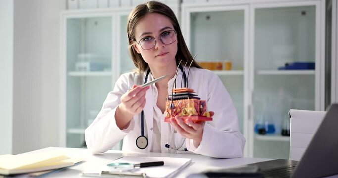 Plastic model of structure of skin with hair for training in hands of cosmetologist. Structure and anatomy of skin