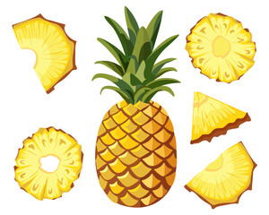 Vector image of pineapple and sliced pineapple slices on isolated white background. Citrus fruits. Set of icons Ripe and delicious product.