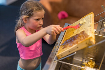 Girl Use beekeeping tools to open wax cells filled with the finished product.