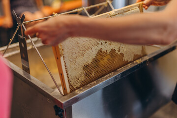  Using beekeeping tools for opening wax cells full of ready product.