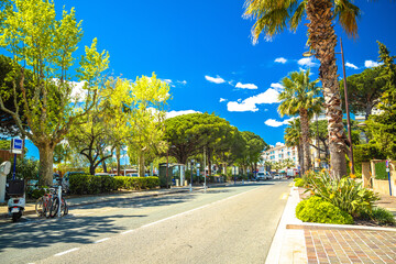 Naklejka premium Town of Sainte Maxime palm street view