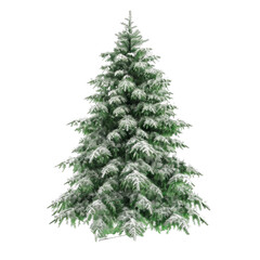 A snow-dusted evergreen tree stands tall against a transparent background.