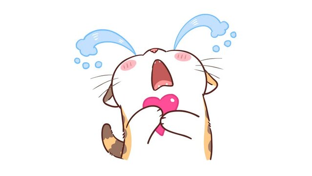 Animated Little Cat Crying - White Background