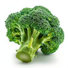 Fresh green broccoli florets isolated on white background