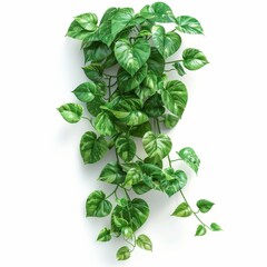 Artificial ivy vine plant with green leaves.