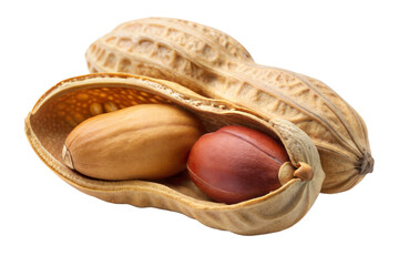 Shelled and unshelled peanuts displayed against a white background, highlighting their texture and structure