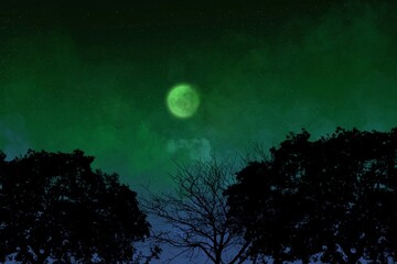 Fototapeta premium moon and clouds