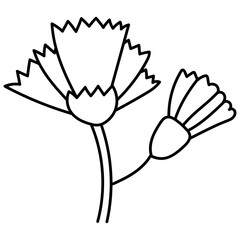  Dianthus cute cartoon doodle outline