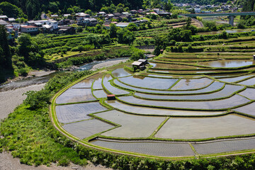 あらぎ島　水張　5月末日　和歌山県　有田川町　田園