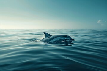 Fototapeta premium Animals in various locations around the world, showcasing diverse habitats and environments. Perfect for wildlife and nature-themed designs.