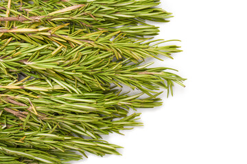 Fresh rosemary herb isolated on a white background.