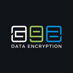 Network encryption: securing data in motion