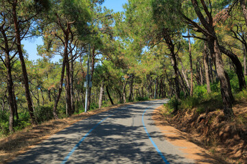 Beautiful road and landscape, streets and roads of a southern small town, public place in Turkey, on a summer sunny day