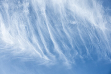 Obraz premium The sky is blue and has a few clouds