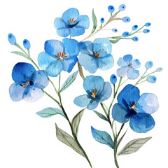 blue flowers water color,  PNG background