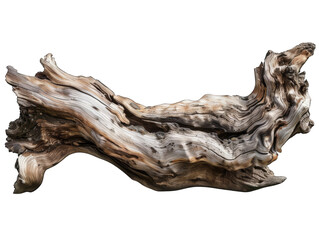 A weathered, gnarled piece of driftwood with intricate grain patterns, isolated on a black background.