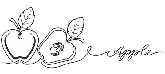 Red apple vector illustration. One continuous line drawing art illustration with lettering organic apple