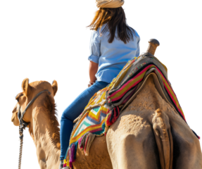 Rear back view of woman riding on a camel, isolated on transparent background. Saudi Arabia adventure, Middle East culture transport, tourism travel journey