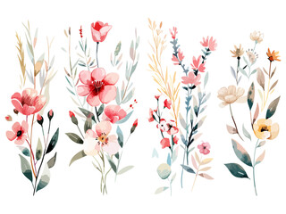 Set of watercolor wild flower bouquets