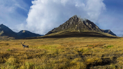 Stob Dearg is the highest and finest peak of Buachaille Etive Mòr, and one of the most famous...