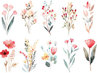 Set of watercolor wild flower bouquets