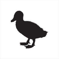 Baby duck silhouette isolated on white background. Baby duck icon vector illustration design.