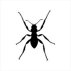 Black carpenter ant silhouette isolated on white background. Ant icon vector illustration design. 