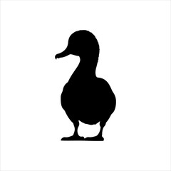Cute drake duck silhouette isolated on white background. Duck icon vector illustration design. 
