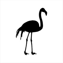 Pink flamingo silhouette isolated on white background. Flamingo icon vector illustration design.