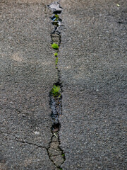 Strassenschäden