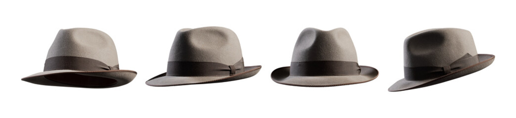 Collection of fedora hats from different points of view
