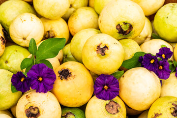 Blue Potato Bush Flowers and Yellow Guavas