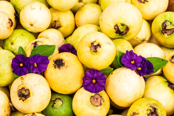 Blue Potato Bush Flowers and Yellow Guavas