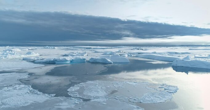 Antarctica winter landscape frozen ocean panorama. Snow covered ice floes and icebergs drifting frigid waters under blue sky reflection. South Pole seascape aerial view. Explore Antarctic wildlife