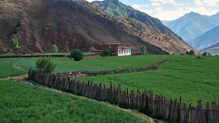 field of crops and farmhouse of a tiny tibetan village in mountains