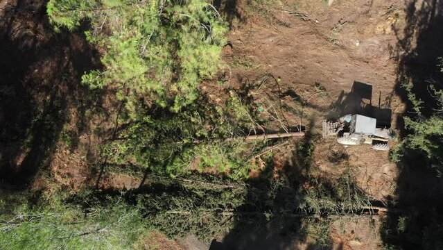 Aerial video above a tactor pulling a tree in Ein Shosfit National Park, Israel