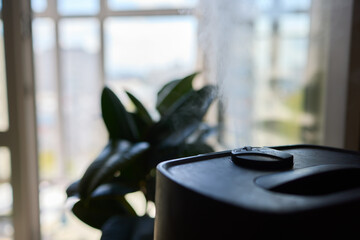Humidifier in front of window, with plant in background