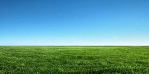A vast, empty field of vibrant green grass stretches to the horizon under a clear blue sky with plenty of copy space