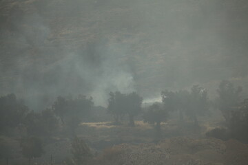 Forest fire and smoke in Jerusalem Israel
